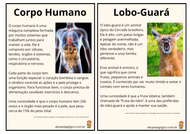 verbetes enciclopedia 4ano interpretacao